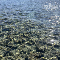 фото из отзыва ID 2724836