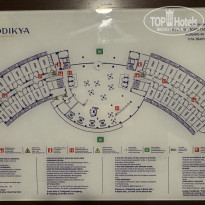 фото из отзыва ID 2724864