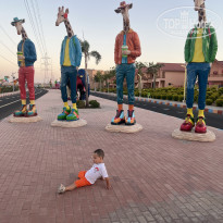 фото из отзыва ID 2724872