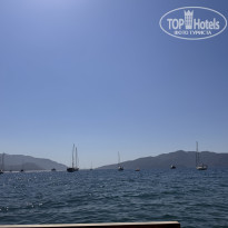 фото из отзыва ID 2724899