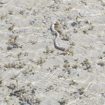 фото из отзыва ID 2724893