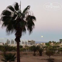 фото из отзыва ID 2724893