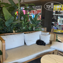 фото из отзыва ID 2724864