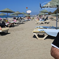 фото из отзыва ID 2724968