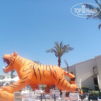 фото из отзыва ID 2724758