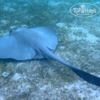 фото из отзыва ID 2724758