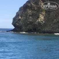 фото из отзыва ID 2724992