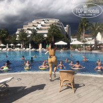 фото из отзыва ID 2724992