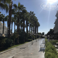 фото из отзыва ID 2724992