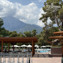 фото из отзыва ID 2725096