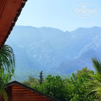 фото из отзыва ID 2724940