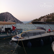 фото из отзыва ID 2724838