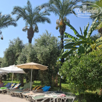 фото из отзыва ID 2725099