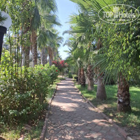 фото из отзыва ID 2725099