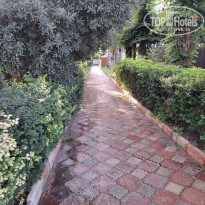 фото из отзыва ID 2725099