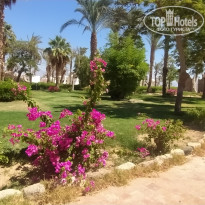 фото из отзыва ID 2725113