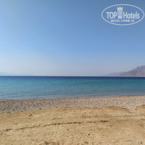 фото из отзыва ID 2725113