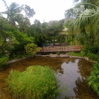 фото из отзыва ID 2725115