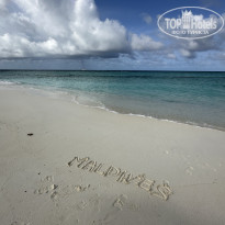 фото из отзыва ID 2725123