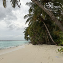 фото из отзыва ID 2725123