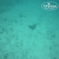 фото из отзыва ID 2725123