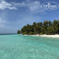 фото из отзыва ID 2725123