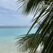 фото из отзыва ID 2725123