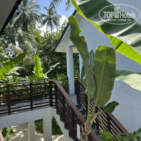 фото из отзыва ID 2725110