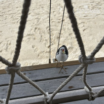 фото из отзыва ID 2725110