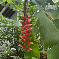 фото из отзыва ID 2725110