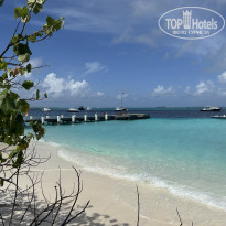 фото из отзыва ID 2725110