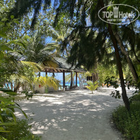 фото из отзыва ID 2725110