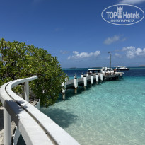 фото из отзыва ID 2725110