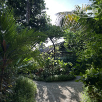 фото из отзыва ID 2725110