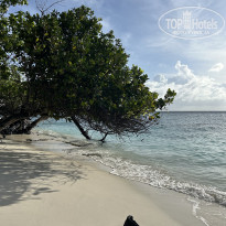 фото из отзыва ID 2725110