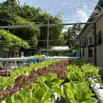 фото из отзыва ID 2725123