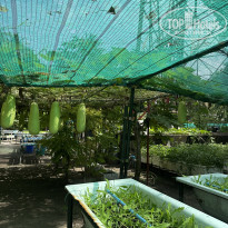 фото из отзыва ID 2725123