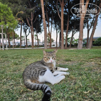 фото из отзыва ID 2725212