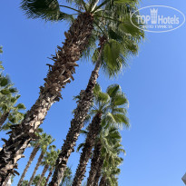 фото из отзыва ID 2725243