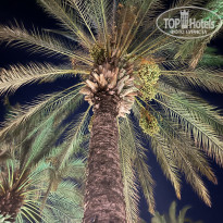 фото из отзыва ID 2725243