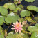 фото из отзыва ID 2725253