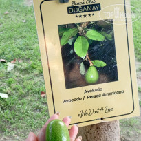 фото из отзыва ID 2725285