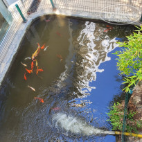 фото из отзыва ID 2725354