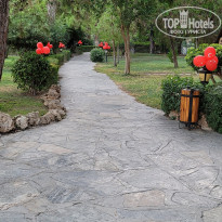 фото из отзыва ID 2725354