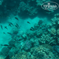 фото из отзыва ID 2725374