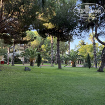 фото из отзыва ID 2725392