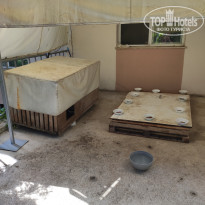 фото из отзыва ID 2725383