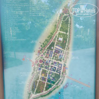 фото из отзыва ID 2725439