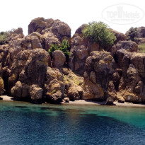 фото из отзыва ID 2725486