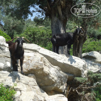 фото из отзыва ID 2725486